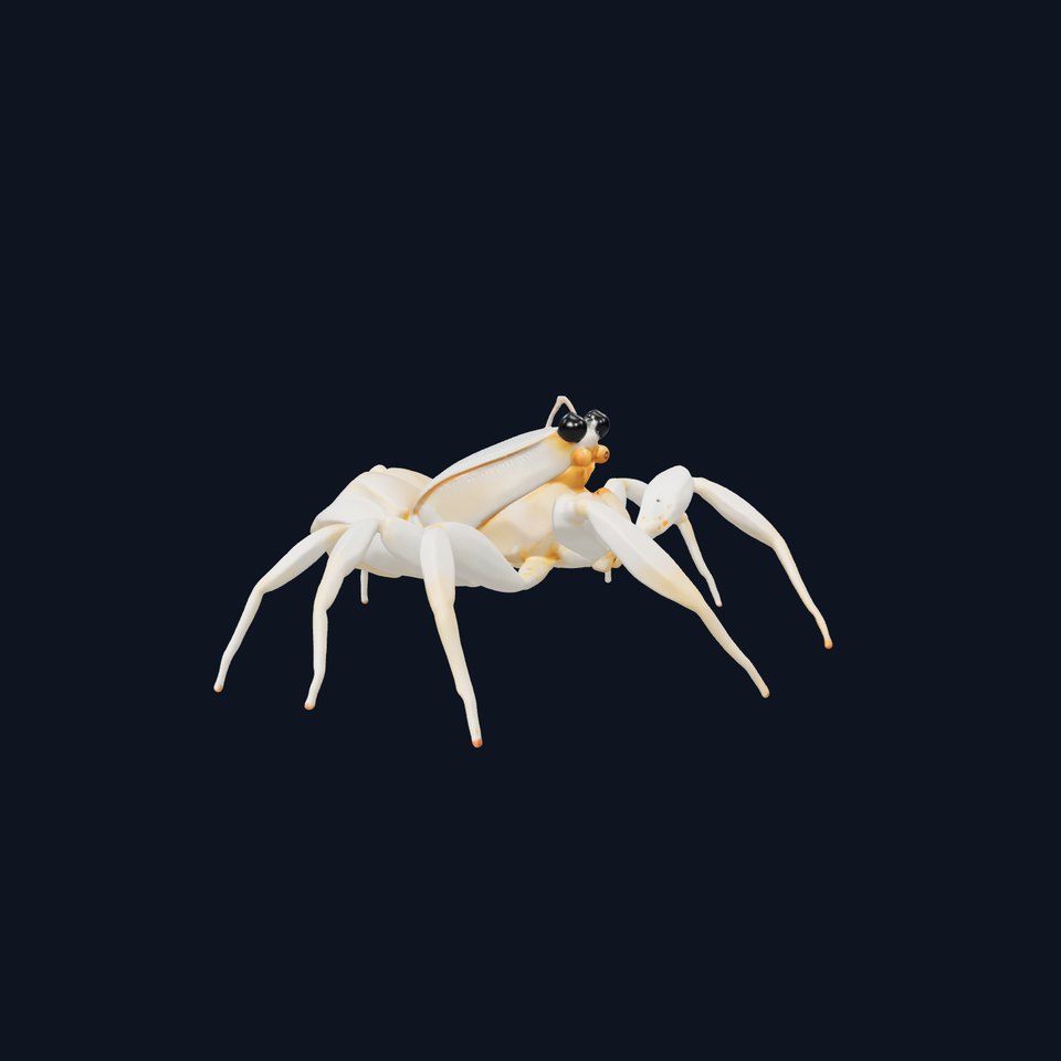 White Crab model pack
